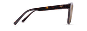 Hcl® Bronze Lenses, Dark Tortoise Frame