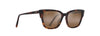 [Hcl® Bronze Lenses, Tortoise Frame]