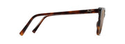 Hcl® Bronze Lenses, Tortoise Frame