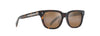 [Hcl® Bronze Lenses, Havana With Honey Frame]