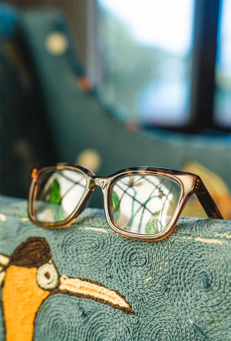 [Crystal Black Cosmos Tortoise / Clear]