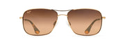 Hcl® Bronze Lenses, Gold Frame