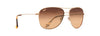 [Hcl® Bronze Lenses, Gold Frame]