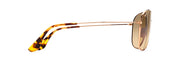 Hcl® Bronze Lenses, Gold Frame