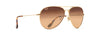 [Hcl® Bronze Lenses, Gold Frame]