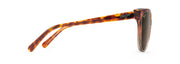 Hcl® Bronze Lenses, Tortoise With Tan Frame