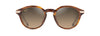 [Hcl® Bronze Lenses, Shiny Dark Havana With Gold Frame]