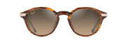 Hcl® Bronze Lenses, Shiny Dark Havana With Gold Frame