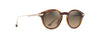 [Hcl® Bronze Lenses, Shiny Dark Havana With Gold Frame]