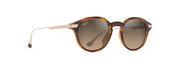 Hcl® Bronze Lenses, Shiny Dark Havana With Gold Frame