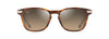 [Hcl® Bronze Lenses, Shiny Dark Havana With Gold Frame]