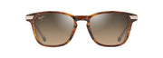 Hcl® Bronze Lenses, Shiny Dark Havana With Gold Frame