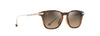 [Hcl® Bronze Lenses, Shiny Dark Havana With Gold Frame]