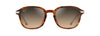 [Hcl® Bronze Lenses, Shiny Dark Havana With Gold Frame]