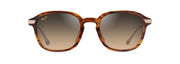 Hcl® Bronze Lenses, Shiny Dark Havana With Gold Frame