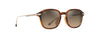 [Hcl® Bronze Lenses, Shiny Dark Havana With Gold Frame]