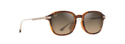 Hcl® Bronze Lenses, Shiny Dark Havana With Gold Frame