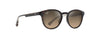 [Hcl® Bronze Lenses, Shiny Dark Havana With Trans Yellow Frame]