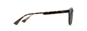 Hcl® Bronze Lenses, Shiny Dark Havana With Trans Yellow Frame