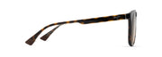 Hcl® Bronze Lenses, Shiny Dark Havana With Trans Yellow Frame