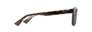 Hcl® Bronze Lenses, Shiny Dark Havana With Trans Yellow Frame