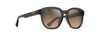 [Hcl® Bronze Lenses, Shiny Trans Dark Grey Frame]