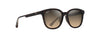 [Hcl® Bronze Lenses, Shiny Dark Havana With Trans Yellow Frame]