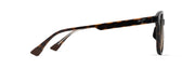 Hcl® Bronze Lenses, Shiny Dark Havana With Trans Yellow Frame