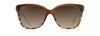 [Hcl® Bronze Lenses, Translucent Chocolate With Tortoise Frame]