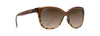 [Hcl® Bronze Lenses, Translucent Chocolate With Tortoise Frame]