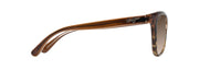 Hcl® Bronze Lenses, Translucent Chocolate With Tortoise Frame