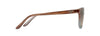 [Hcl® Bronze Lenses, Sandstone With Blue Frame]