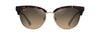 [Hcl® Bronze Lenses, Tortoise With Gold Frame]