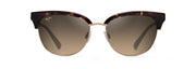 Hcl® Bronze Lenses, Tortoise With Gold Frame