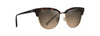 [Hcl® Bronze Lenses, Tortoise With Gold Frame]