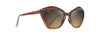 [Hcl® Bronze Lenses, Chocolate Fade Frame]