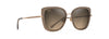 [Hcl® Bronze Lenses, Transparent Taupe With Gold Frame]