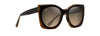 [Hcl® Bronze Lenses, Chocolate With Tortoise Interior  Frame]