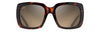 [Hcl® Bronze Lenses, Tortoise Frame]