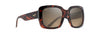 [Hcl® Bronze Lenses, Tortoise Frame]