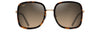 [Hcl® Bronze Lenses, Tortoise With Shiny Gold Frame]