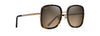 [Hcl® Bronze Lenses, Tortoise With Shiny Gold Frame]