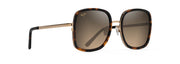 Hcl® Bronze Lenses, Tortoise With Shiny Gold Frame