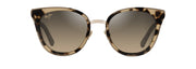 Hcl® Bronze Lenses, Tokyo Tortoise With Gold Frame