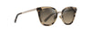 [Hcl® Bronze Lenses, Tokyo Tortoise With Gold Frame]