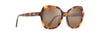 [Hcl® Bronze Lenses, Tortoise Frame]