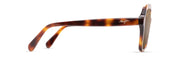 Hcl® Bronze Lenses, Tortoise Frame