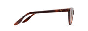 Hcl® Bronze Lenses, Tortoise Frame