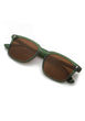 Bottle Green Polarized