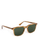 Umber Polarized